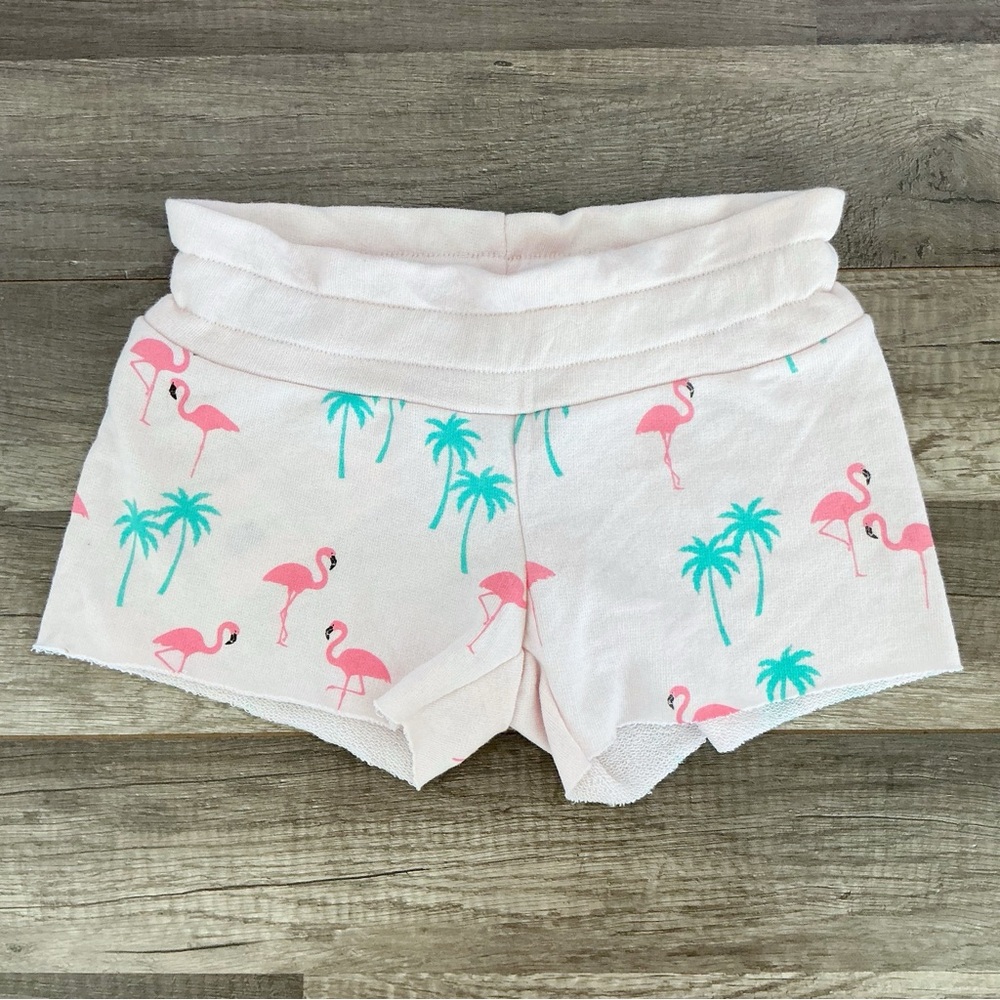 New Wildfox Kids Cutie Shorts Pink Flamingos Palm Trees Size 7/8 Medium